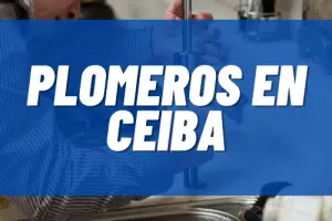 Plomeros en Ceiba