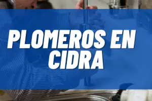 Plomeros en Cidra