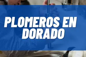 Plomeros en Dorado