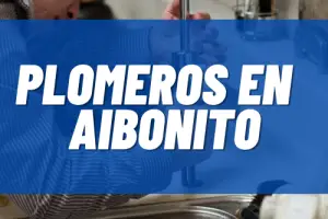 Plomeros en Aibonito