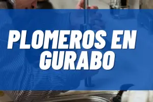 Plomeros en Gurabo