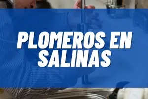 Plomeros en Salinas